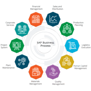 SAP Development
